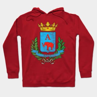 Catania, Sicilia / Retro Italian Region Design Hoodie